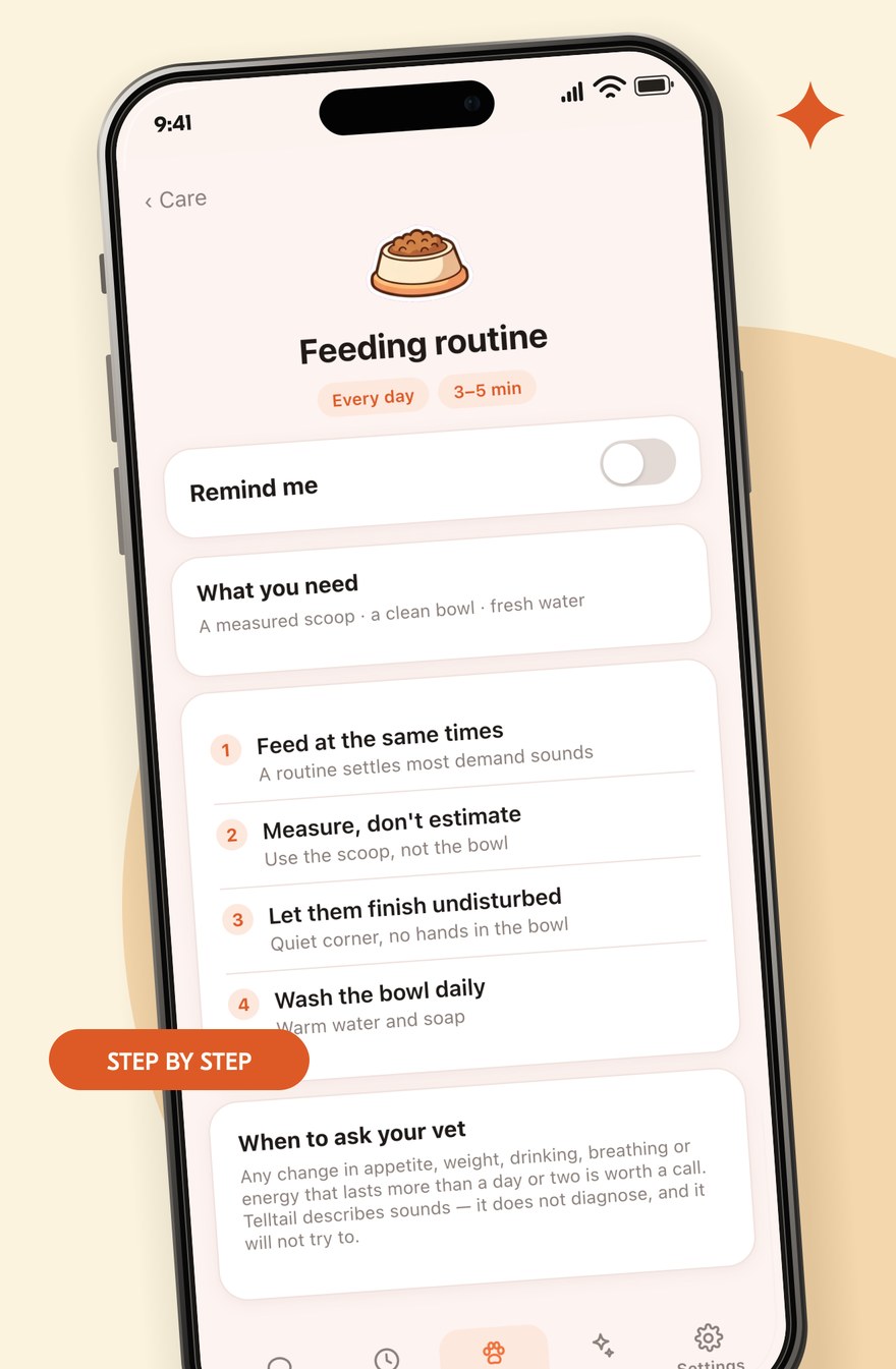 A feeding routine guide, step by step